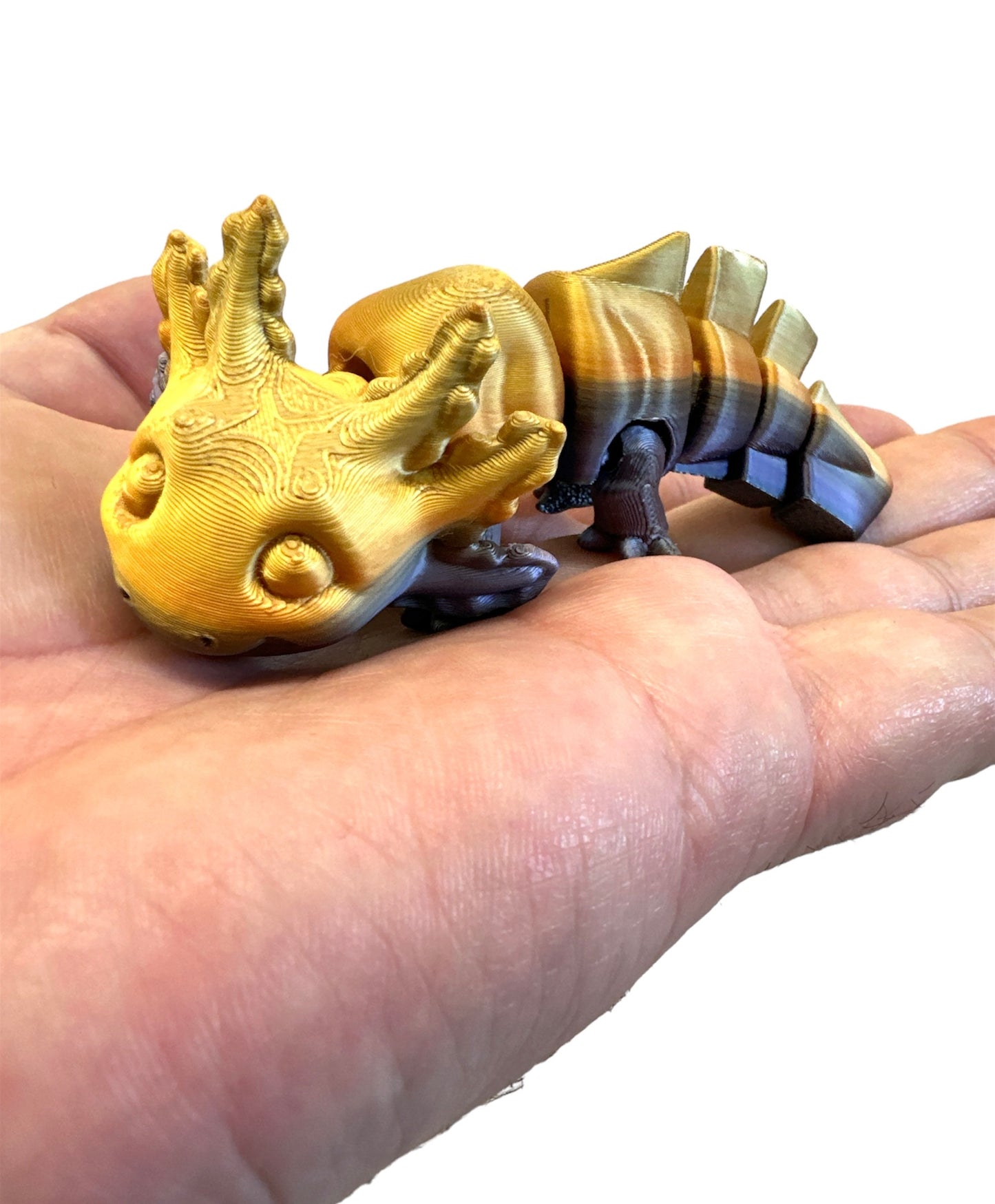 Baby Axolotl Pet