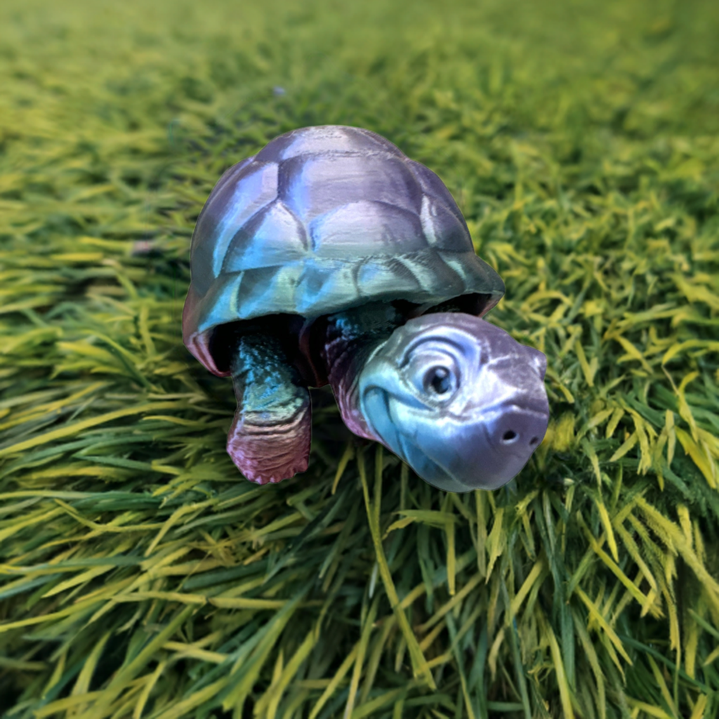 3d printed tortoise toy