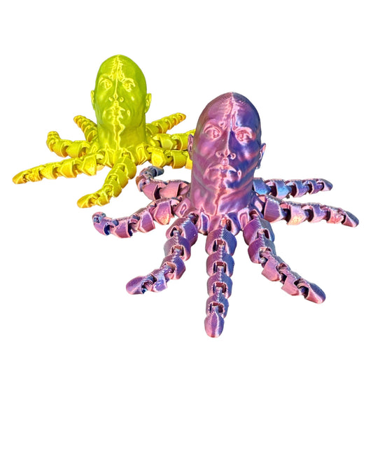 The Rocktopus fidget toy